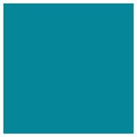 Picture of Siser EasyPSV Starling Totally Teal