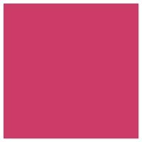 Picture of Siser EasyPSV Starling Tropical Pink
