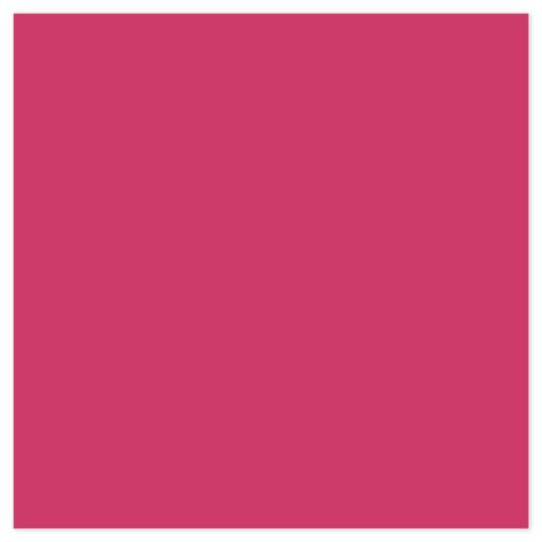 Picture of Siser EasyPSV Starling Tropical Pink