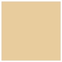 Picture of Siser EasyWeed Heat Transfer Vinyl - Pearl