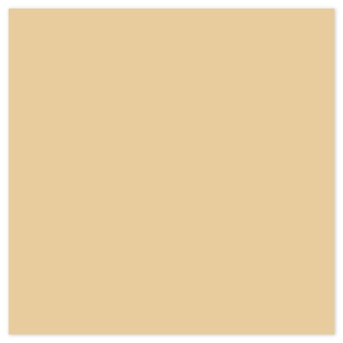 Picture of Siser EasyWeed Heat Transfer Vinyl - Pearl