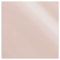 Picture of Siser EasyWeed Electric HTV Champagne