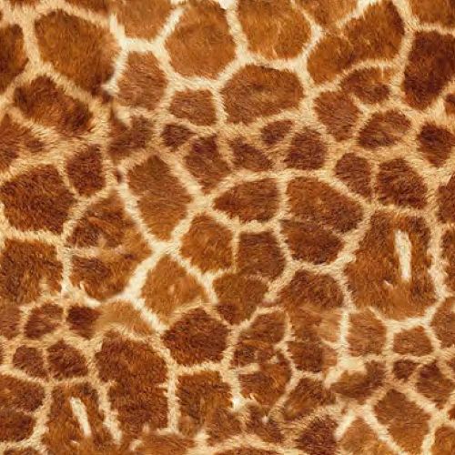 Picture of Siser HTV Easy Patterns Plus Wild Giraffe