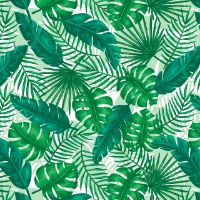Picture of Siser HTV Easy Patterns Plus Tropical Leaves