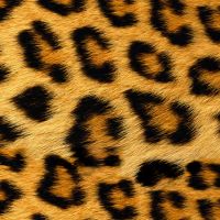 Picture of Siser HTV Easy Patterns Plus Wild Leopard