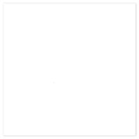 Picture of Siser EasyWeed Extra HTV White