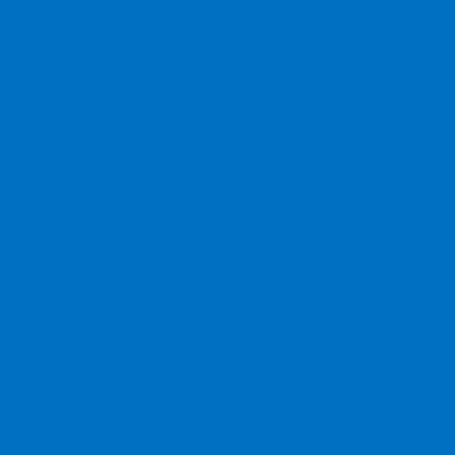 Picture of Siser EasyWeed Extra HTV Sky Blue