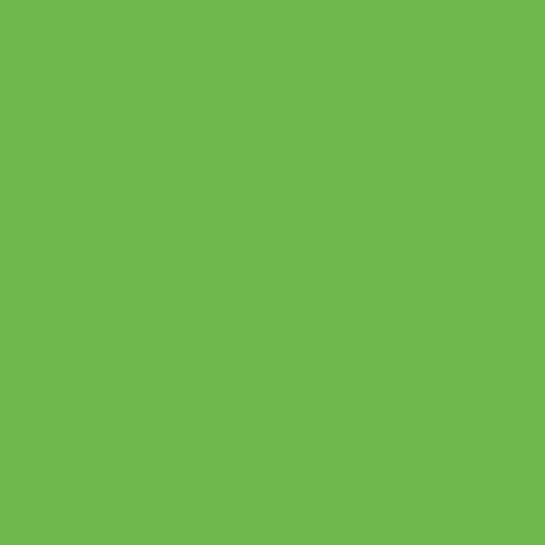 Picture of Siser EasyWeed Extra HTV Apple Green