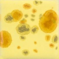 Picture of Mayco Jungle Gems Glaze CG1012 Haystack 118ml