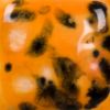 Picture of Mayco Jungle Gems Glaze CG1013 Papaya 118ml