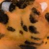 Picture of Mayco Jungle Gems Glaze CG1013 Papaya 118ml