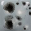 Picture of Mayco Jungle Gems Glaze CG1016 Asteroid 118ml