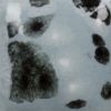 Picture of Mayco Jungle Gems Glaze CG1016 Asteroid 118ml