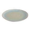 Picture of Stoneware Pottery Bisque Organic Dinner Plate 4pc