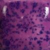 Picture of Mayco Stroke and Coat SP213 Speckled Grapel 473ml