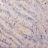Picture of Amaco Potters Choice Flux Glaze PCF16 Aurora Breeze 472ml