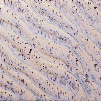 Picture of Amaco Potters Choice Flux Glaze PCF16 Aurora Breeze 472ml