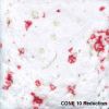 Picture of Mayco Specialty Glaze SG304 Berry Snow Gem 118ml