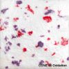 Picture of Mayco Specialty Glaze SG304 Berry Snow Gem 473ml