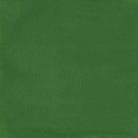 Picture of Duncan Opaque Acrylic OS593 Forest Green 59ml