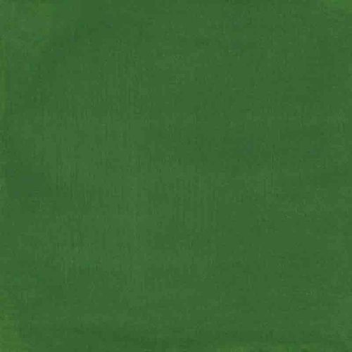 Picture of Duncan Opaque Acrylic OS593 Forest Green 59ml