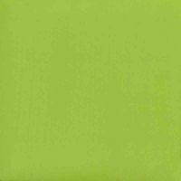 Picture of Duncan Opaque Acrylic OS594 Lime Burst 59ml
