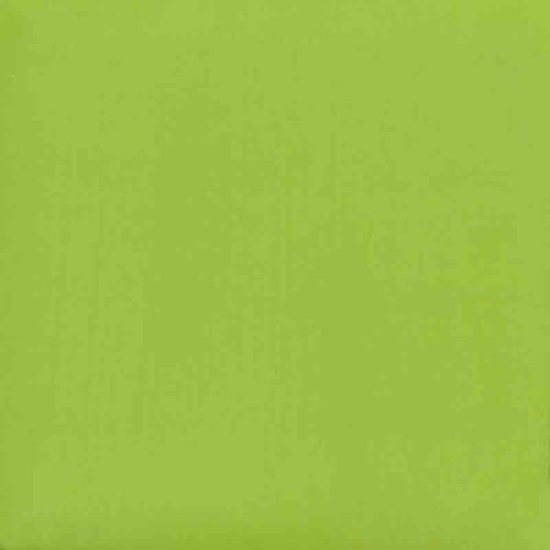 Picture of Duncan Opaque Acrylic OS594 Lime Burst 59ml