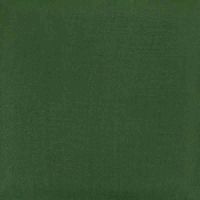 Picture of Duncan Opaque Acrylic OS595 Accent Green 59ml
