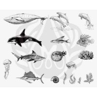 Picture of Mayco Designer Silkscreen - Sea Life 2