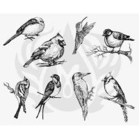 Picture of Mayco Designer Silkscreen - Aviary - Small Birds