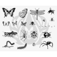 Picture of Mayco Designer Silkscreen - Bugs