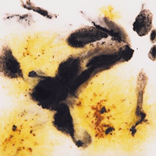 Picture of Mayco Crystalite Glaze S2726 Cheetah 473ml