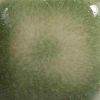 Picture of Mayco Foundations Sheer Glaze FN231 Clearly Jade 473ml