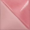 Picture of Mayco Fundamentals Underglaze UG224 Rose 473ml