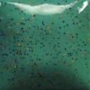 Picture of Mayco Stroke and Coat SP209 Speckled Jaded 236ml