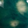 Picture of Mayco Jungle Gems Glaze CG974 Bloomin Blue 473ml