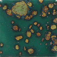 Picture of Mayco Jungle Gems Glaze CG780 Mystic Jade 473ml
