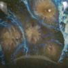 Picture of Mayco Jungle Gems Glaze CG780 Mystic Jade 473ml