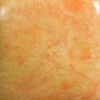 Picture of Mayco Jungle Gems Glaze S2729 Citrus Splash 473ml