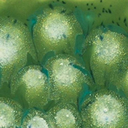 Picture of Mayco Jungle Gems Glaze S2715 Spotted Kiwi 473ml