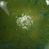 Picture of Mayco Jungle Gems Glaze S2715 Spotted Kiwi 473ml