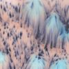 Picture of Mayco Jungle Gems Glaze S2702 Northern Lights 473ml