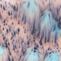 Picture of Mayco Jungle Gems Glaze S2702 Northern Lights 473ml