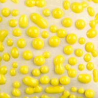Picture of Mayco Ritual Glaze SW441 Yellow Bead 473ml