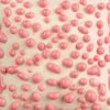Picture of Mayco Ritual Glaze SW444 Pink Bead 473ml