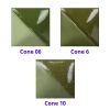 Picture of Mayco Fundamentals Underglaze UG021 Leaf Green 118ml