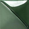 Picture of Mayco Fundamentals Underglaze UG210 Forest Green 118ml