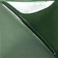 Picture of Mayco Fundamentals Underglaze UG210 Forest Green 118ml