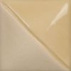 Picture of Mayco Fundamentals Underglaze UG234 Ivory Pearl 118ml