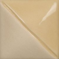 Picture of Mayco Fundamentals Underglaze UG234 Ivory Pearl 118ml